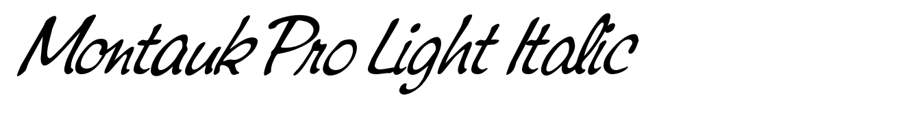 Montauk Pro Light Italic